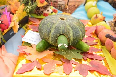 Праздник дары осени