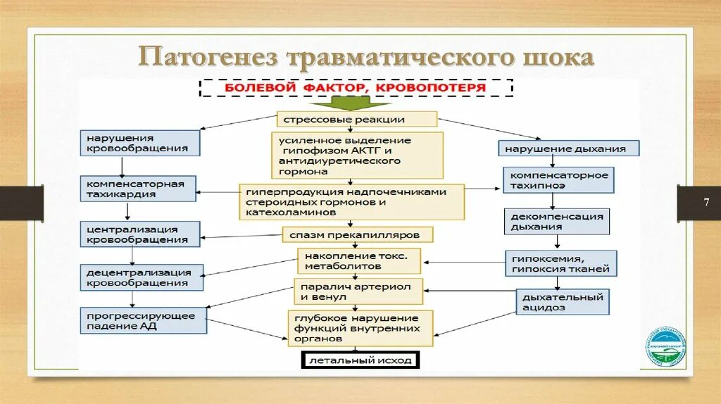 Травматический ШОК патогенез развития. Основное звено патогенеза травматического шока. Патогенез шока схема. Общие механизмы развития шока.