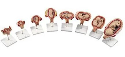 Жетілген милф порно