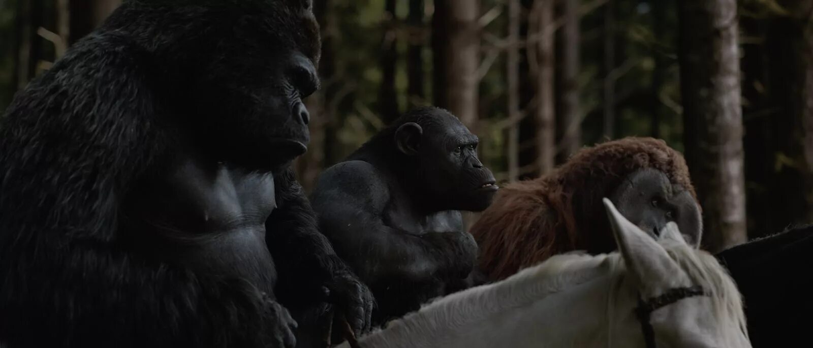 Планета обезьян дата выхода. Планета обезьян дата выхода. Планета обезьян 2017. Планета обезьян 2023. Планета обезьян 2017.