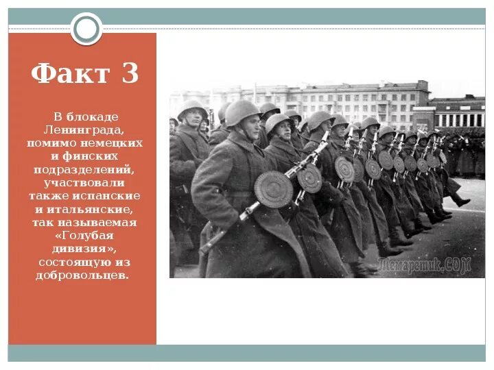 Истории блокадного ленинграда для детей. Интересные факты о ленинградской блокаде. Блокада ленинграда 1941 1944 гг. Интересные факты о блокаде. Факты про блокаду ленинграда интересные для детей.