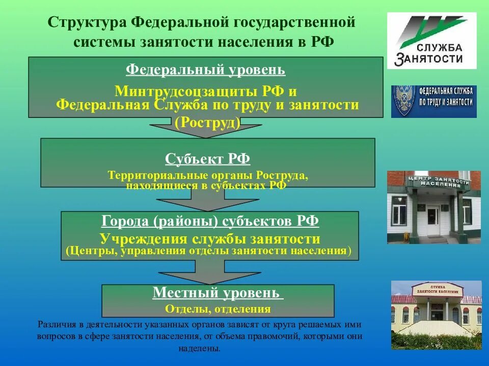 Структура органов службы занятости. Структура центров занятости населения РФ. Структура службы занятости в РФ. Структура органов службы занятости населения в РФ.