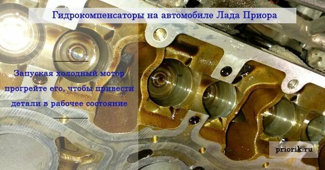 Почему стучит гидрокомпенсатор на горячую. Гидрокомпенсаторы приора 16 клапанов. гидрики приора 16 клапанов. гидрокомпенсаторы гранта 16 клапанная.