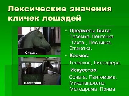 Зооним это