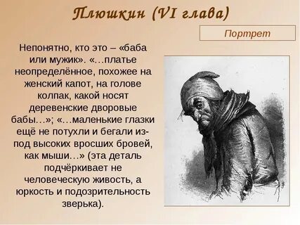 Внешний вид помещика плюшкина