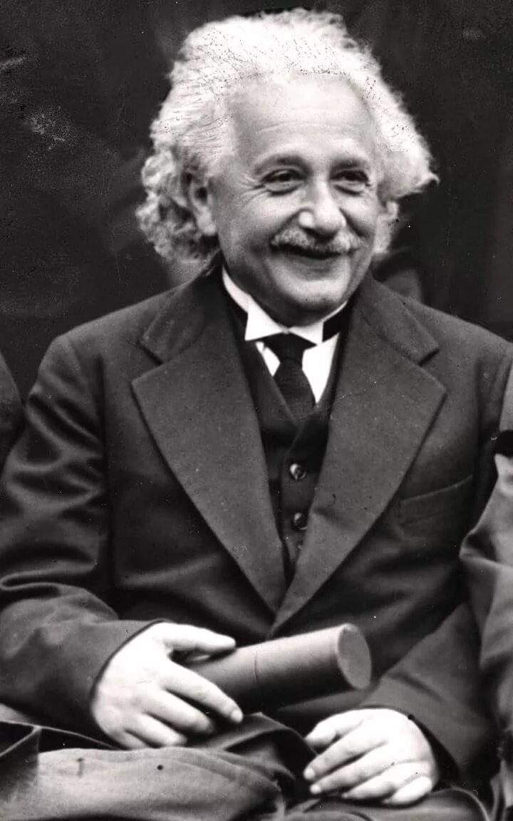 Эйнштейн физик. Герберт Эйнштейн.