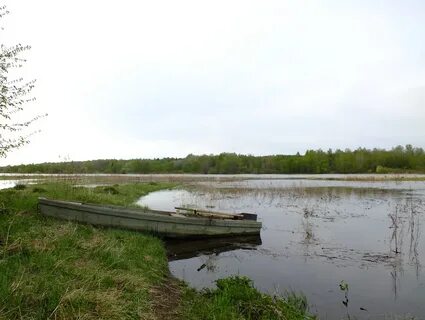 Подслушано майский краснокамский