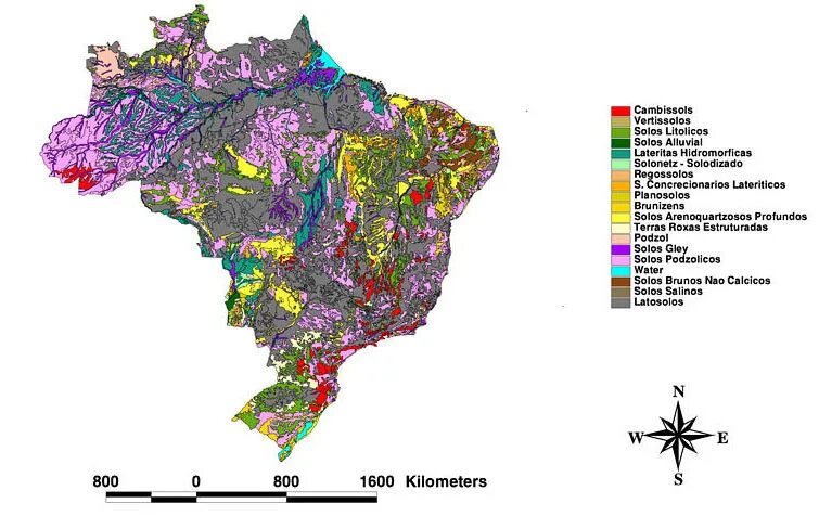 Vegetation and soils