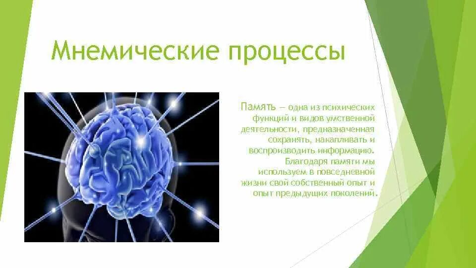 Чем отличается память человека от памяти животного. Мнемические процессы. Виды мнемических процессов. Мнемические психические процессы. Мнемические функции памяти это.