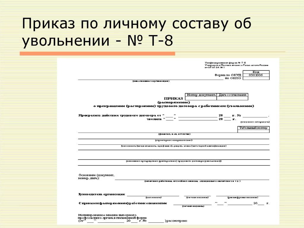 Приказы по личному составу пример документа. Бланк приказа по личному составу образец. Оформление приказа по личному составу о приеме на работу. Пример приказа по личному делу.