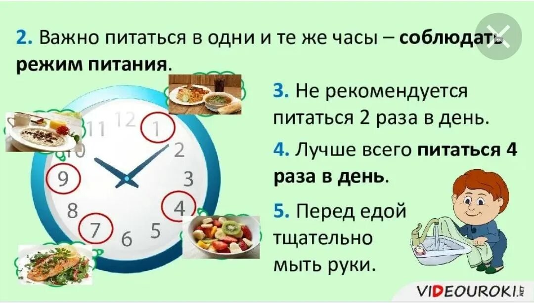 5 раз в день под. Режим питания. Соблюдать режим питания. Режим питания на день. Режим питания презентация.