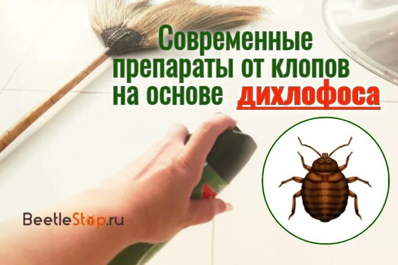 Можно ли обрабатывать от блох дихлофосом
