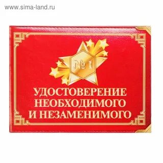 Незаменимый 1
