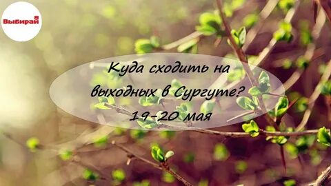 Красивая цитата доброго дня