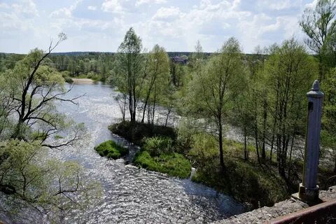 День гуся железного