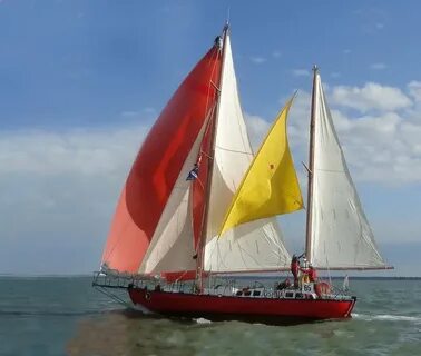 Golden sails