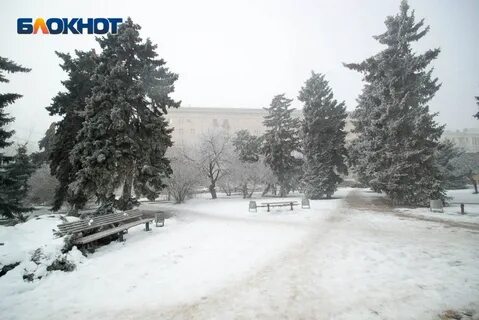 Середина декабря