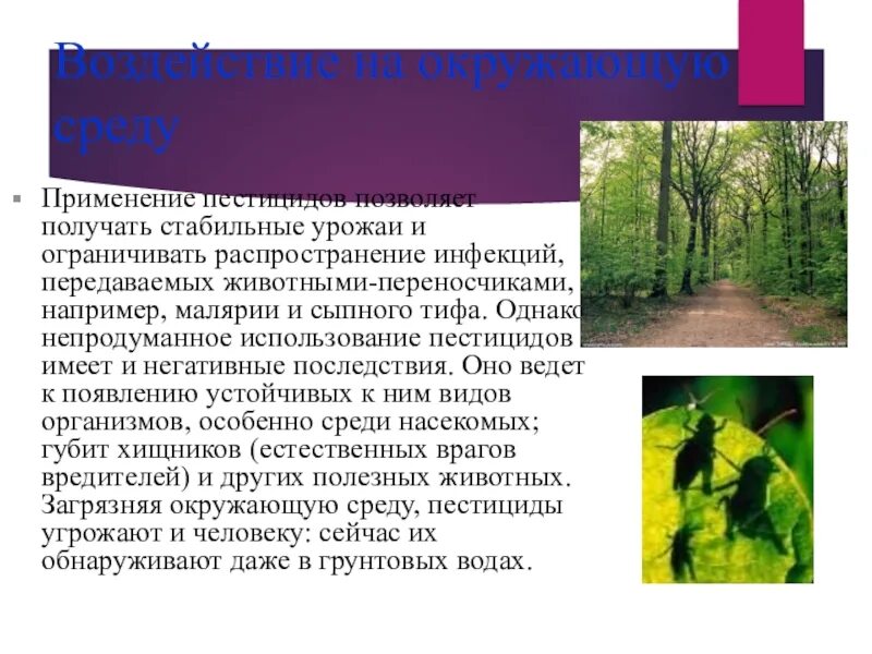 Эффект пестицида. Воздействие пестицидов на окружающую среду. Влияние пестицидов на окружающую среду и здоровье человека. Пестициды влияние на организм. Воздействие пестицидов на растения.