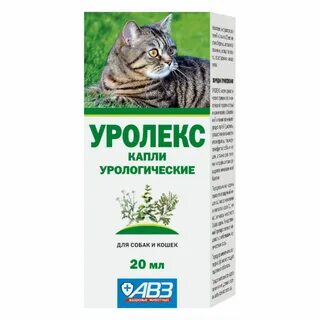 Мочегонное для кошек