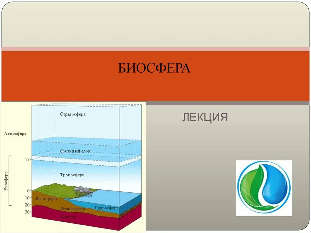 Биосфера входит в атмосферу. Биосфера. слои биосферы. структура биосферы. структура биосферы презентация.