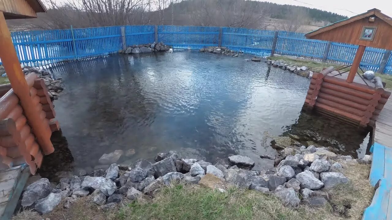 Родник Красноярский край. Родник Новоалексеевка Красноярский край. Родники Красноярск. Родники Красноярск вода. Родники красноярский край