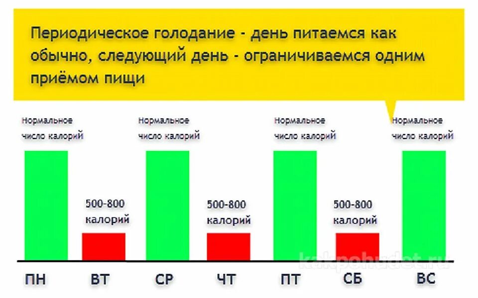 Периодическое голодание. Интервальное голодание 16 8 голодание. Периодическое голодание схемы. Прерывистое голодание для похудения схема. Схема голода