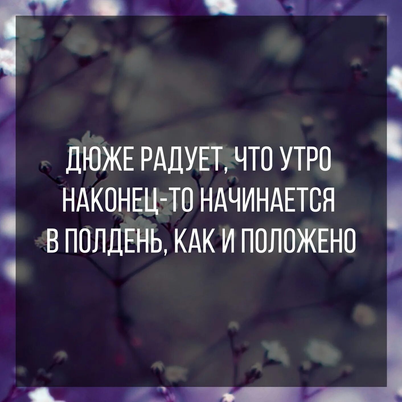Вопросы цитаты