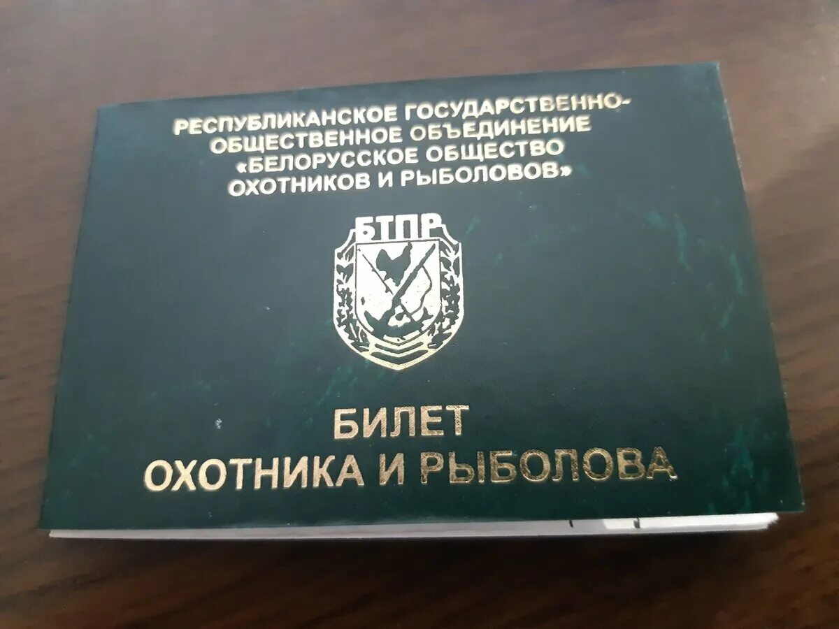 Как стать охотником и получить разрешение. Документы на охотничью собаку. Охотничий билет и разрешение на охоту. Федеральный охотничий билет. Какие нужны документы для приобретения охотничьего ружья.