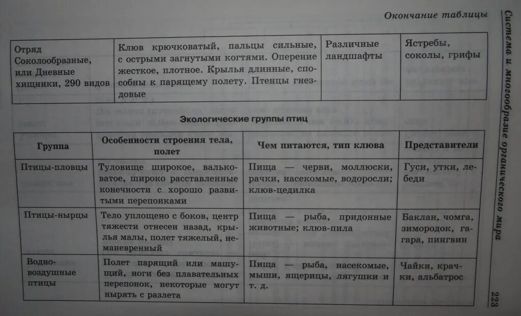 Таблица птицы 7 класс биология строение. Таблица по биологии систематические группы птиц. Экологические группы птиц таблица. Птицы экологические группы птиц таблица. Экологическая группа представители таблица.