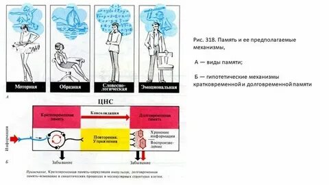 Мощная кратковременная реакция