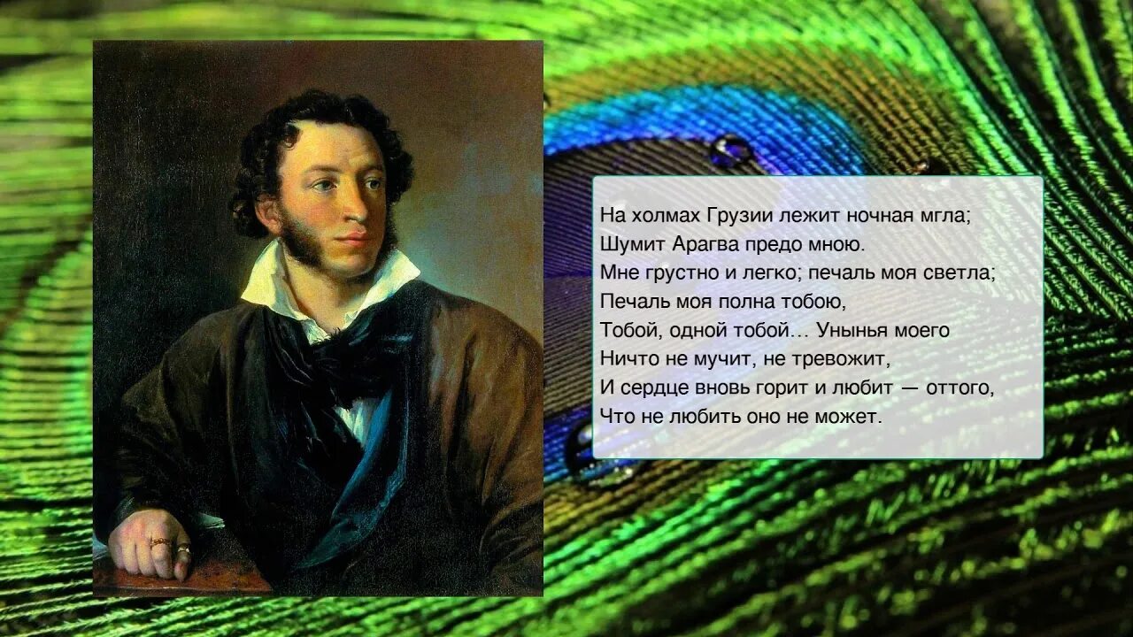 Стих Пушкина про Грузию. На холмах Пушкин. На холмах Грузии лежит ночная мгла Пушкин. Стих Пушкина на холмах Грузии. На холмах грузии лежит пушкин стихотворение