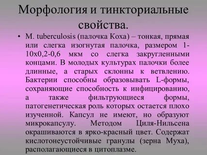 Туберкулез свойства