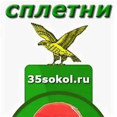 Сокольские сплетни. Сокольские сплетни инфо. Сокольские сплетни. Сокольские сплетни г сокол вологодская обл. Сокольские сплетни г сокол.