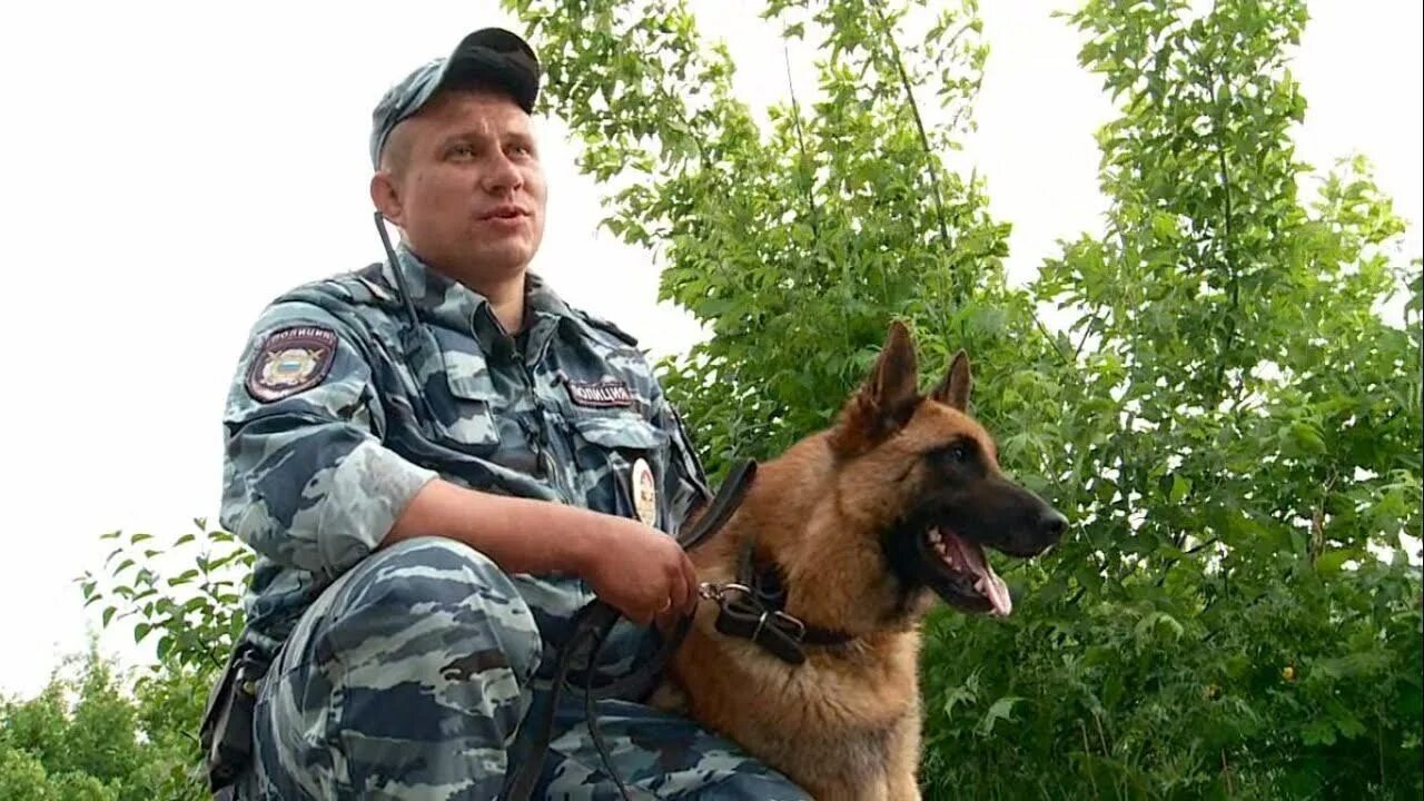 Группы служебных собак. Собака на страже. Пес на страже. Сыщик кинолог. Служебная собака в форме.