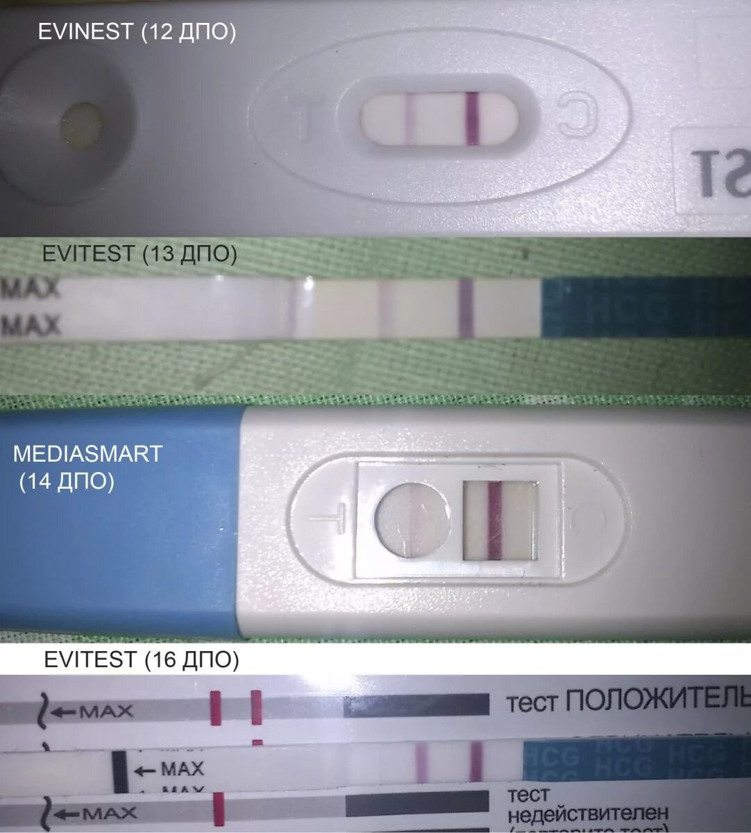 Дополнительное профессиональное образование тесты. 7 ДПО тест электронный тест. Эвитест 5 ДПО. Эвитест 8 ДПО положительный. 8 День после овуляции тест на беременность эвитест.