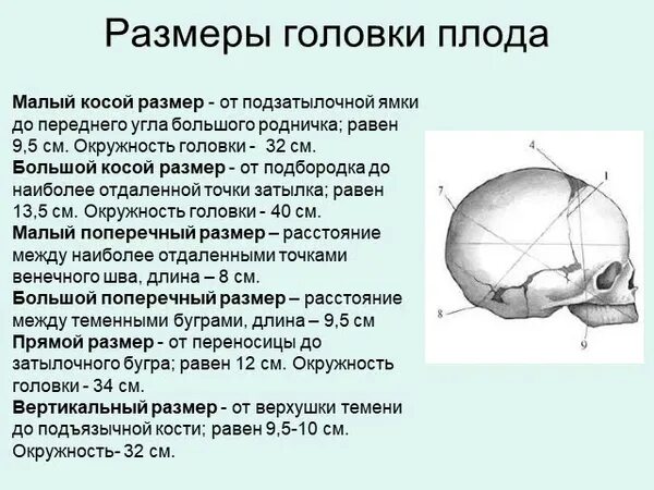 Окружность головы доношенного. Швы и роднички головки плода. Малый косой размер головки доношенного плода:. Швы роднички Размеры головки плода. Строение голова плода и Размеры.