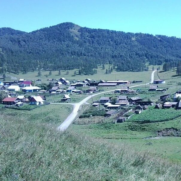 Черга горный Алтай. Село черга Республика Алтай. Малая черга Шебалинский район. Улус черга Шебалинский район. Черга республика алтай