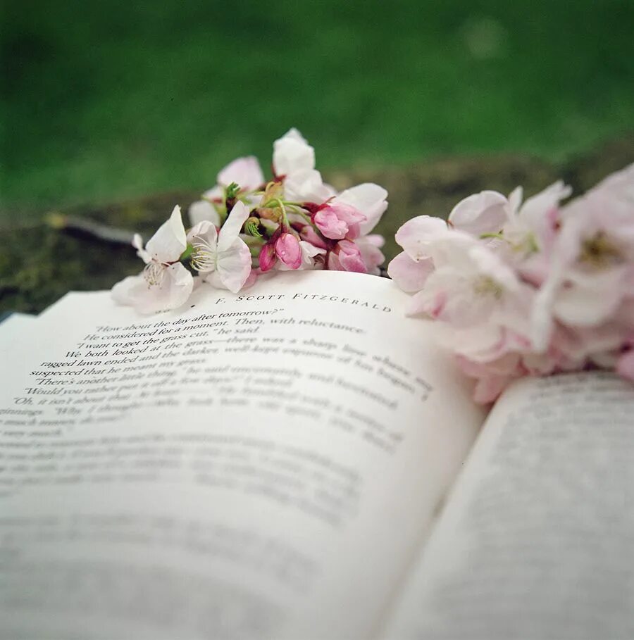 Год в цветах книга. Книга цветы. Книги о весне. Книга с цветами.
