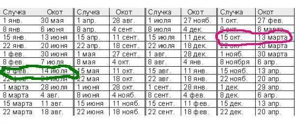 Через сколько месяцев будет лет. Таблица беременности коз. Сроки родов у коз таблица. Таблица окотов коз и покрытий. Календарь окота коз.