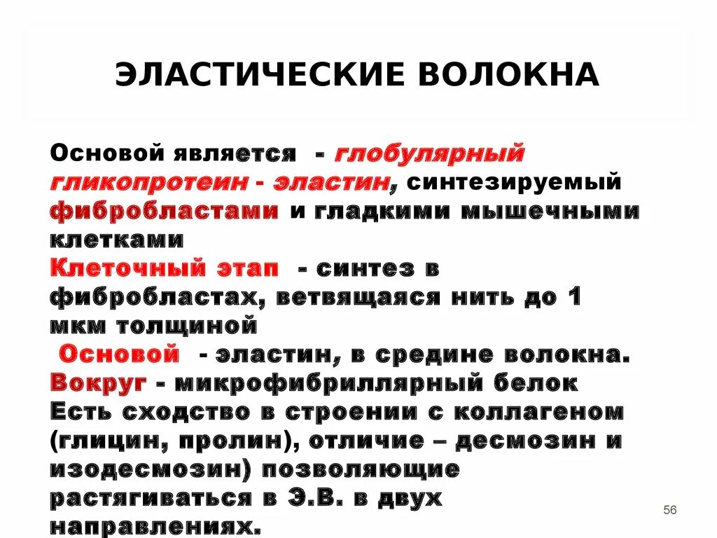 Функции эластических волокон. Строение эластических волокон. синтез эластических волокон. эластиновые волокна. синтез эластических волокон этапы.