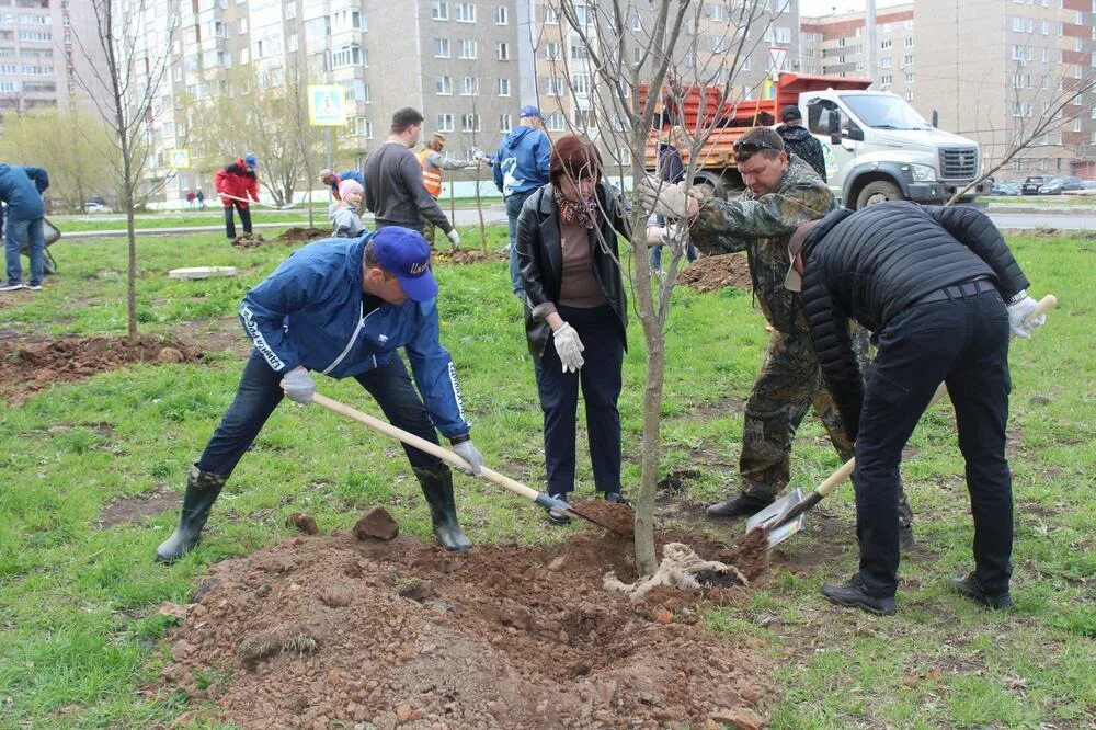 Посадив парке 4 дерева