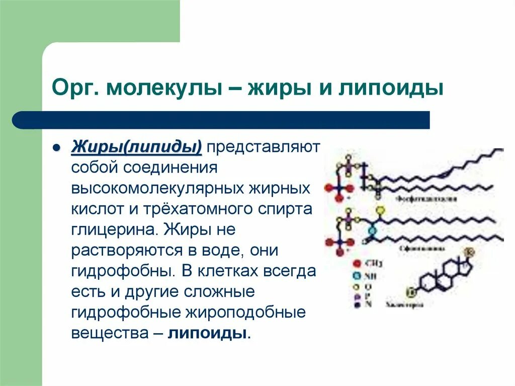 Какие органические вещества растворимы в воде. Структура молекул жиров. Липиды высокомолекулярные органические соединения. Строение молекулы липида. Молекула липида.