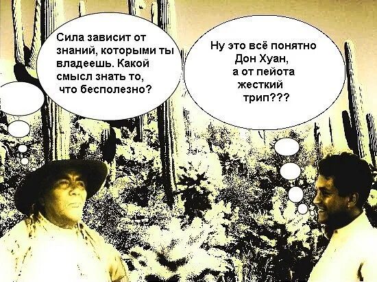Понятно то что ты можешь