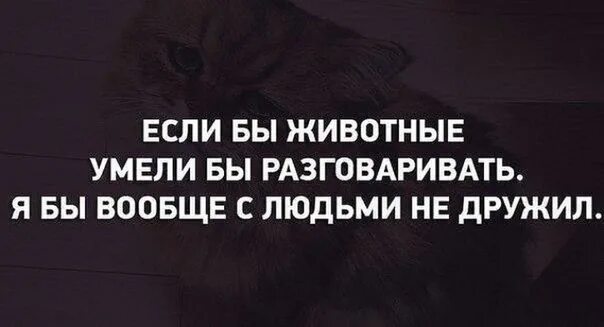Человек это животное или нет с точки. Люди хуже животных цитаты. человек хуже животного. люди стали хуже животных цитаты. человек животное цитаты.