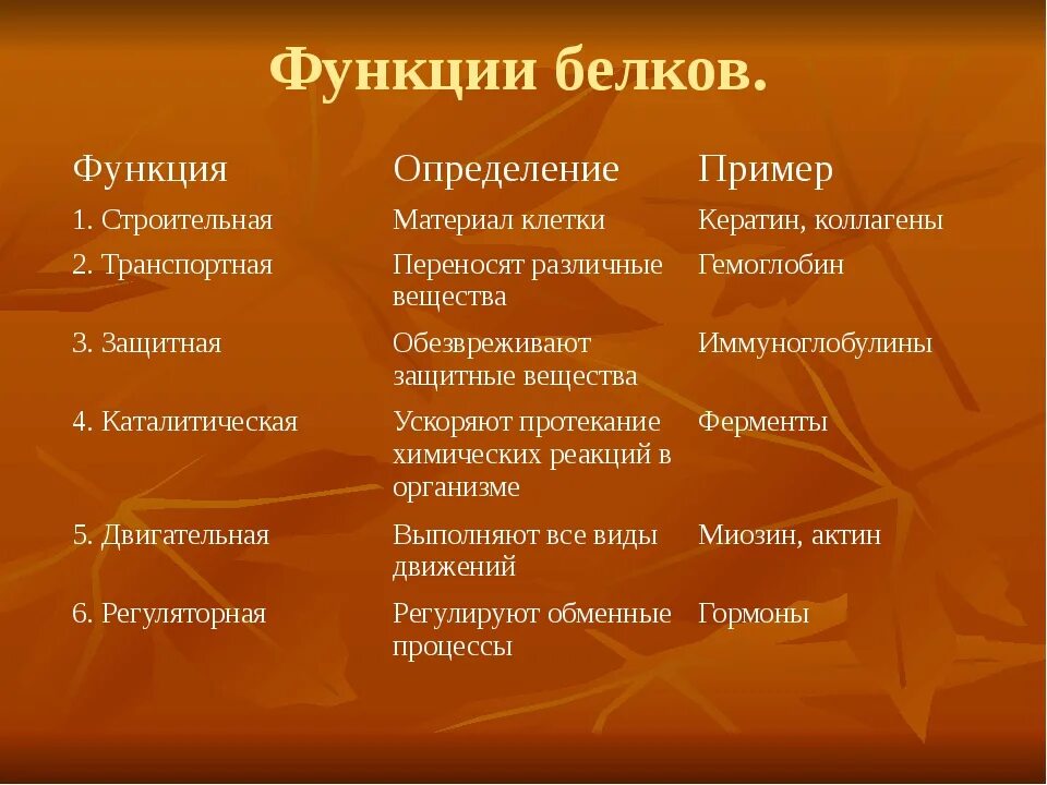 Белок выполняющий строительную функцию