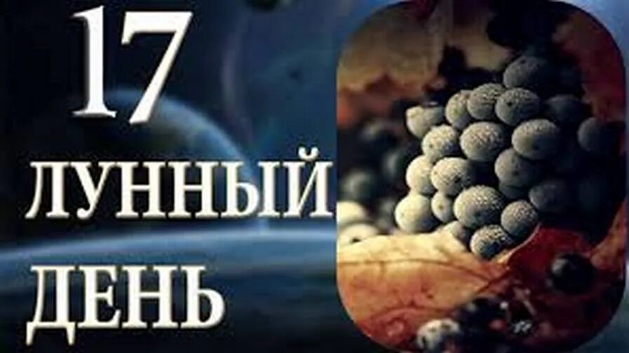 17 день луны