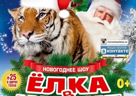 Цирк максимус отрада расписание
