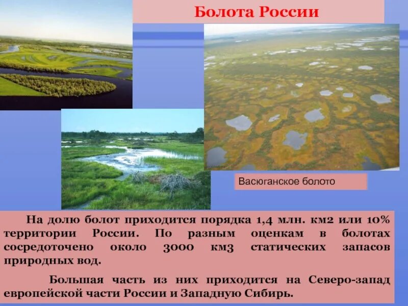 Территории болот в россии. Болота России. Болота России презентация. Болото презентация. Васюганские болота.