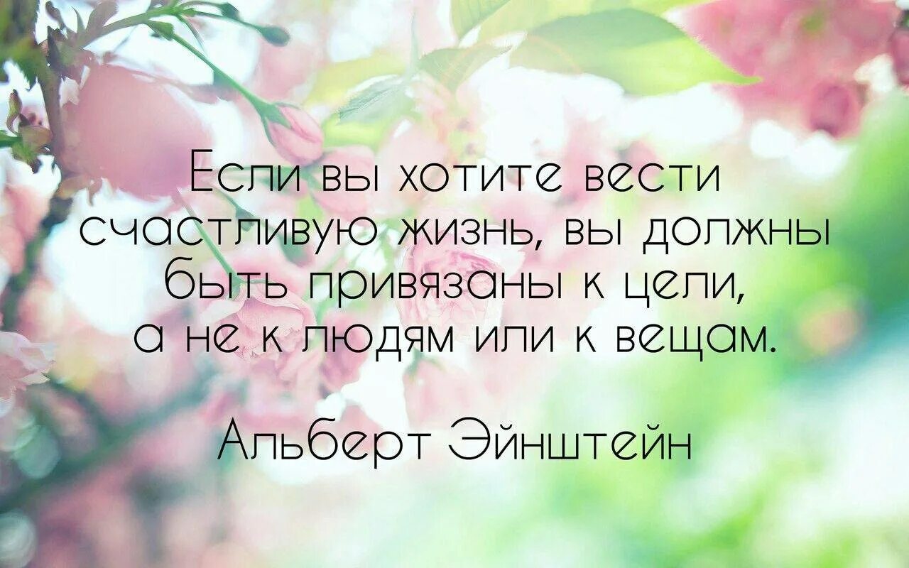 Как стать счастливым ответ. Я счастлива цитаты. Счастливый человек цитаты. Быть счастливым цитаты. Цитаты про счастье.