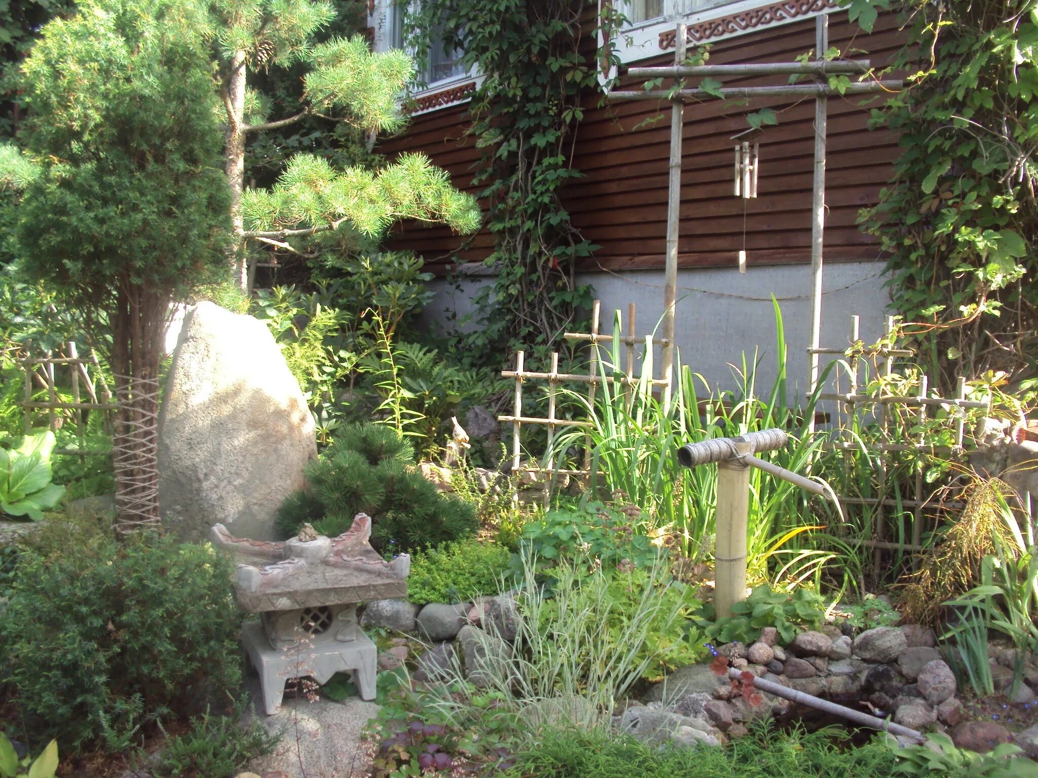 сад людмилы турубановой. сад осиновая роща турубановой. сад людмилы турубановой в осиновой роще. сад людмилы турубановой-корнеевой. сад людмилы турубановой в осиновой роще.